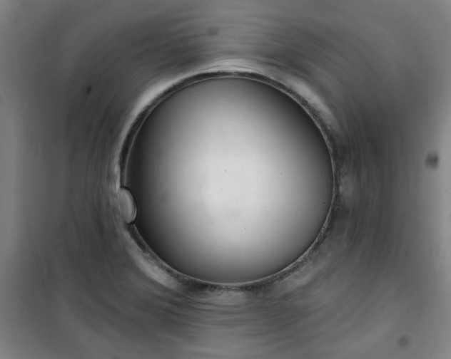 X0000101141372200807110932