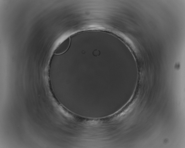 X0000101141373200807110932