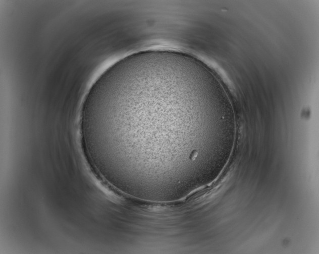 X0000101141375200807110932