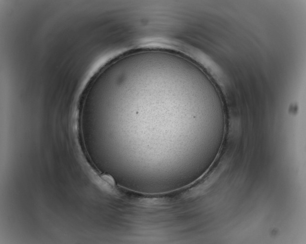 X0000101141376200807110932