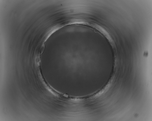 X0000101141377200807110932