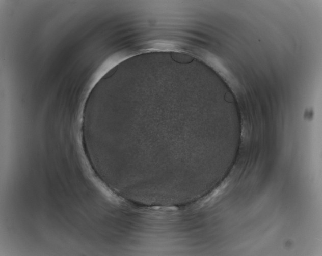 X0000101141378200807110932