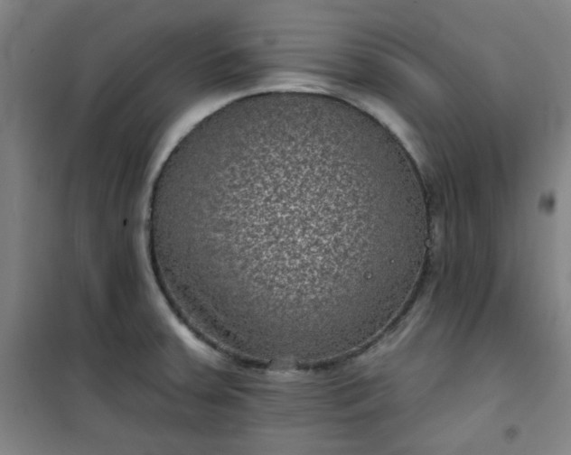 X0000101141379200807110932