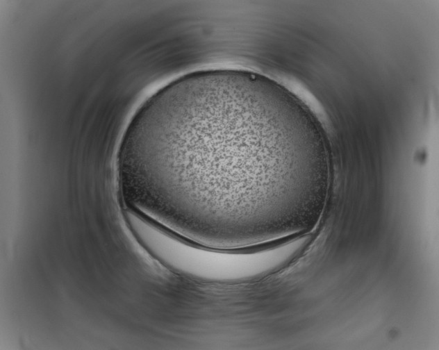 X0000101141380200807110932