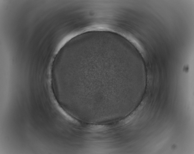 X0000101141382200807110932