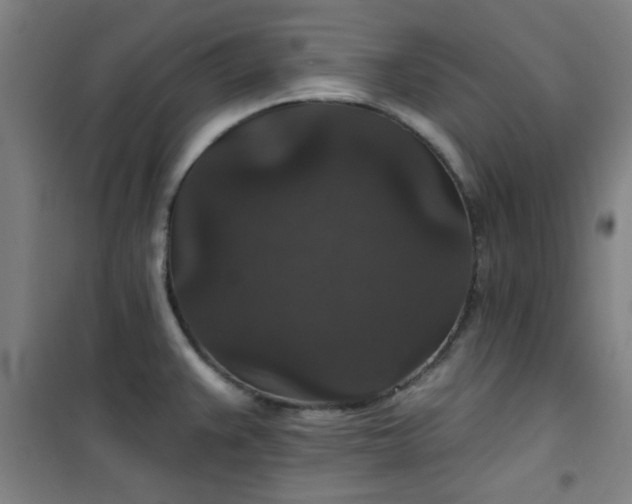 X0000101141383200807110932