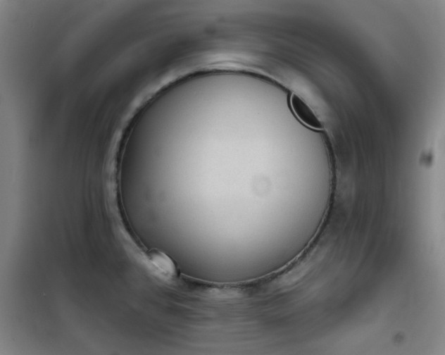 X0000101141384200807110932