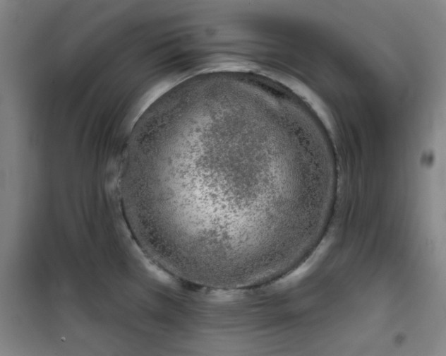 X0000101141385200807110932