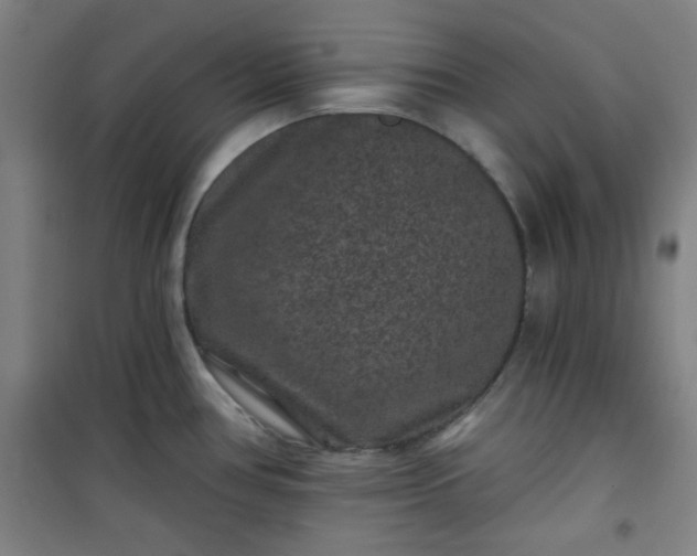 X0000101141386200807110932