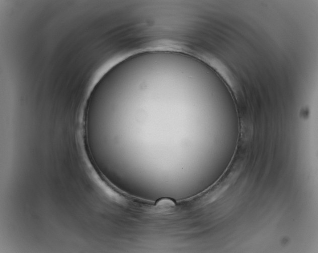 X0000101141387200807110932