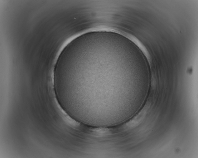 X0000101141388200807110932