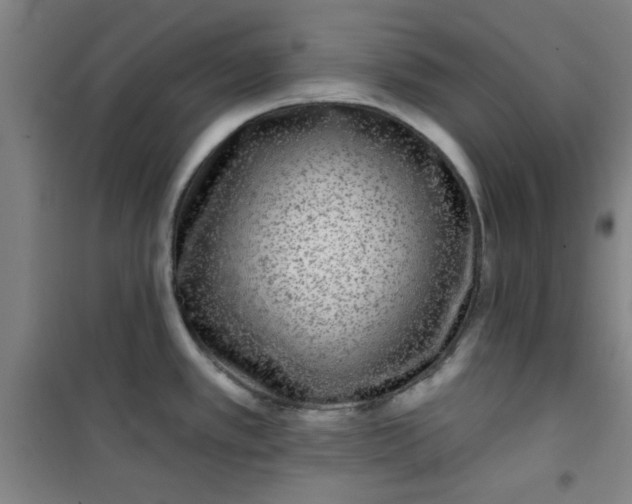 X0000101141389200807110932