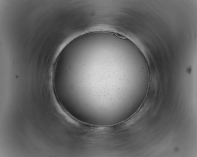 X0000101141390200807110932