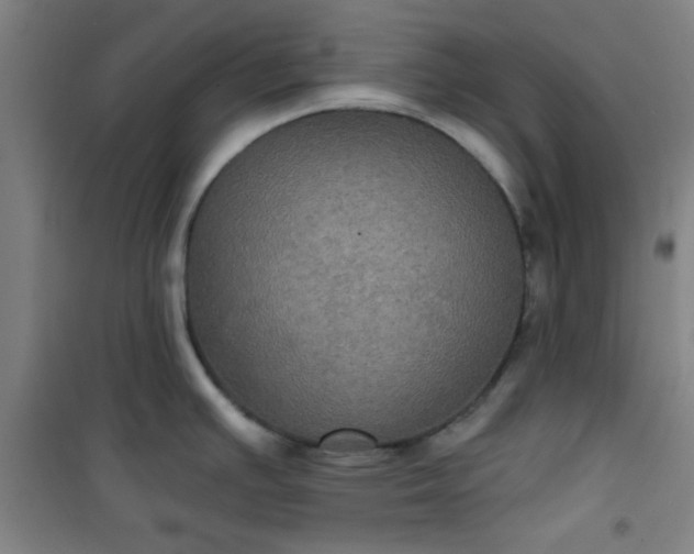 X0000101141391200807110932