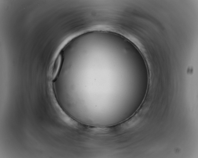 X0000101141392200807110932