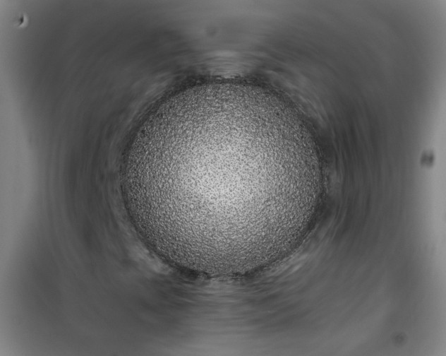 X0000101141393200807110932