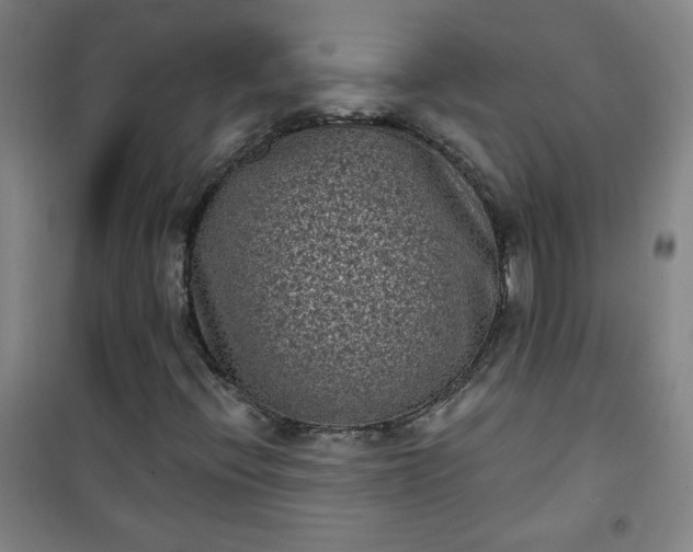 X0000101141396200807110932