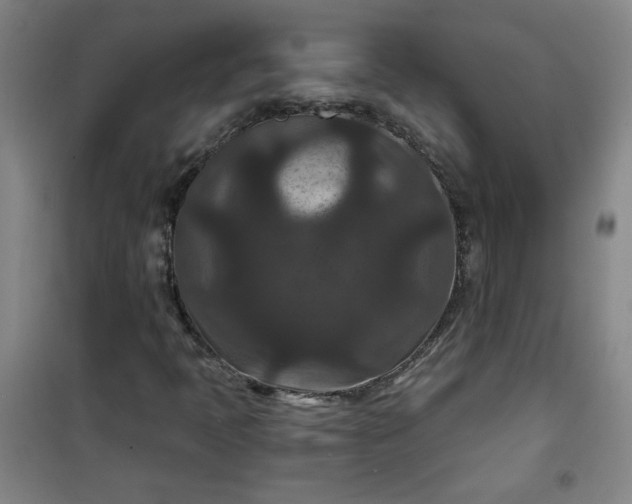 X0000101141397200807110932