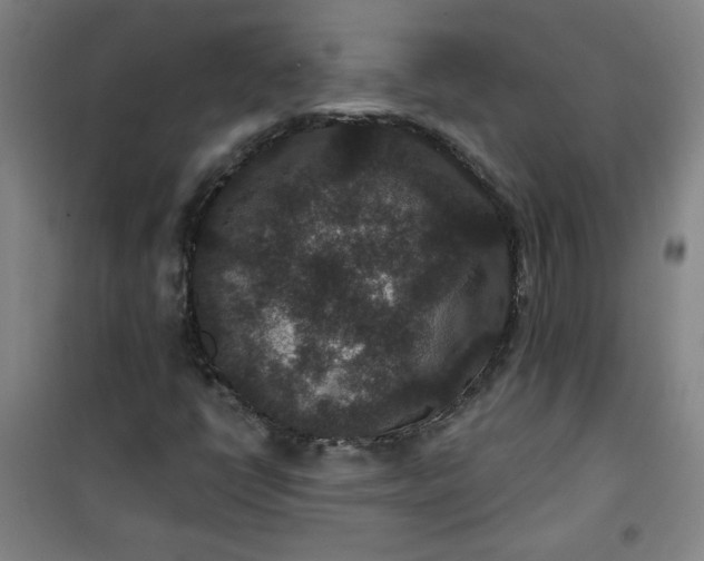 X0000101141398200807110932