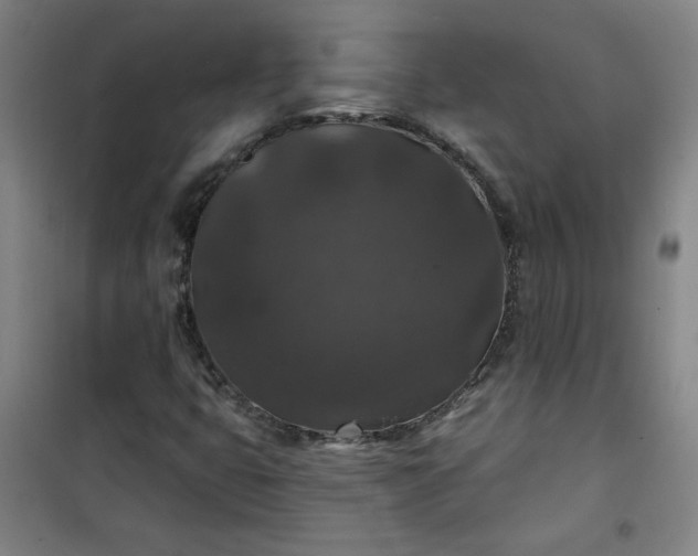 X0000101141399200807110932