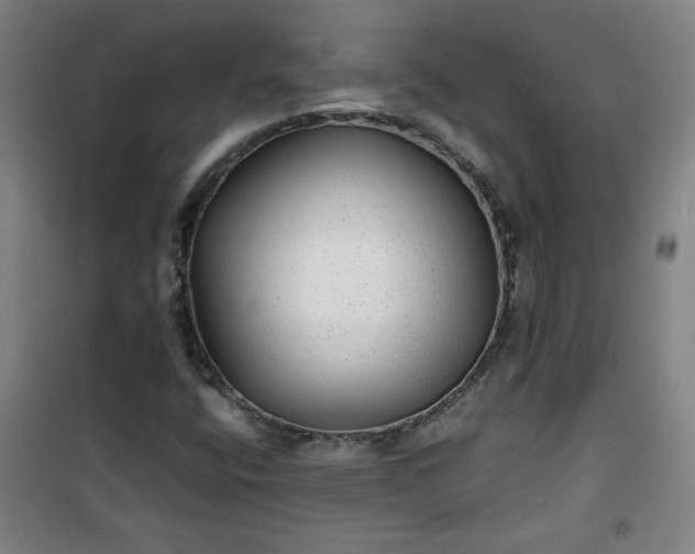 X0000101141400200807110932