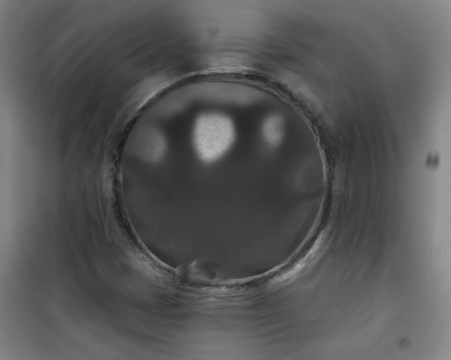 X0000101141401200807110932