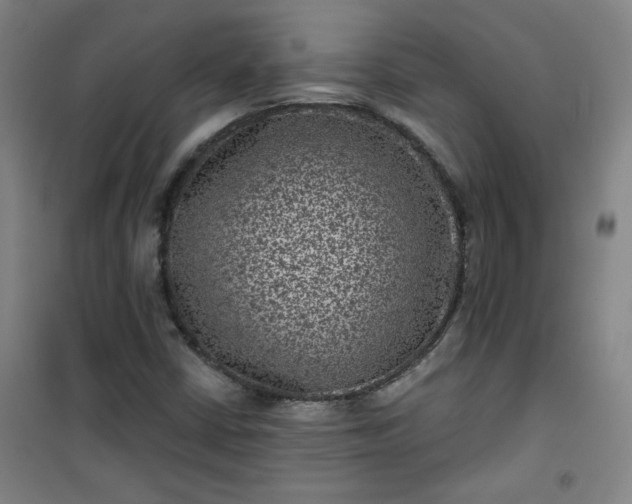 X0000101141402200807110932