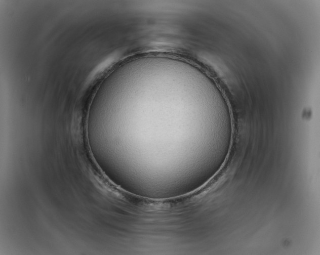 X0000101141403200807110932