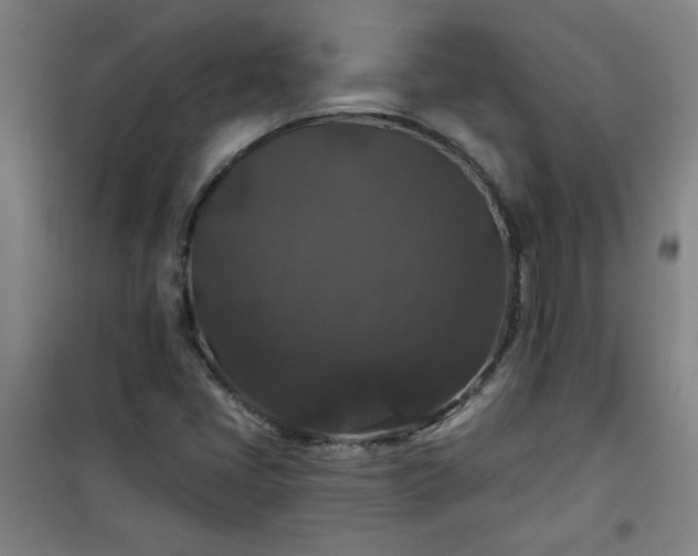 X0000101141405200807110932