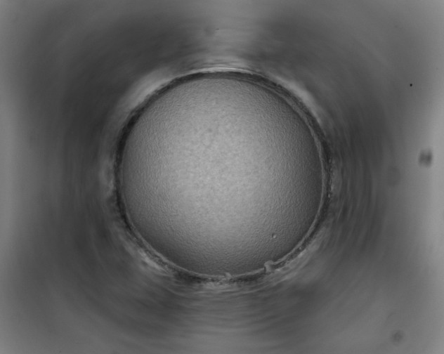 X0000101141407200807110932