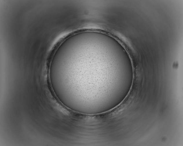 X0000101141408200807110932