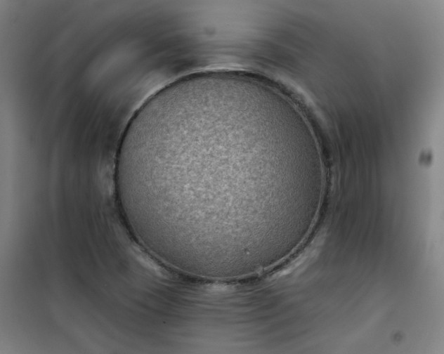 X0000101141409200807110932