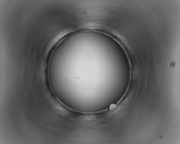 X0000101141410200807110932