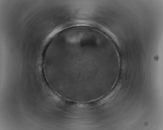 X0000101141411200807110932