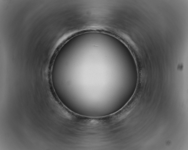 X0000101141412200807110932