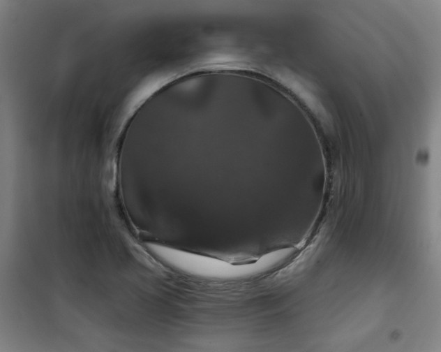 X0000101141413200807110932