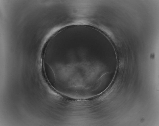 X0000101141414200807110932