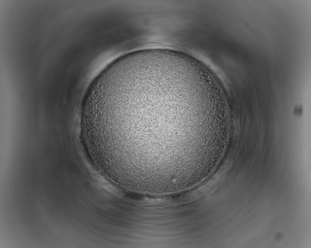 X0000101141415200807110932