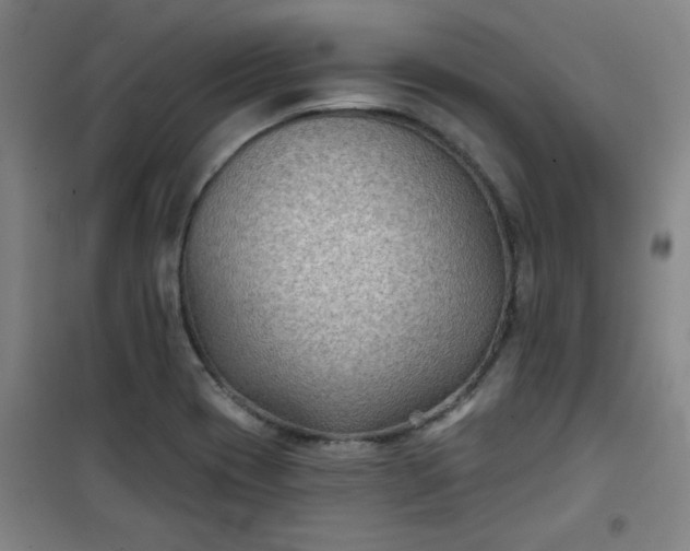 X0000101141417200807110932