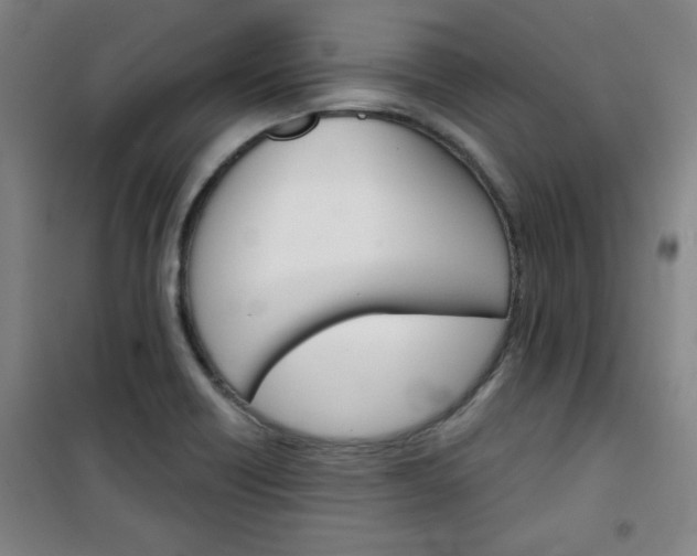 X0000101141418200807110932