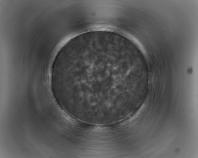 X0000101141419200807110932