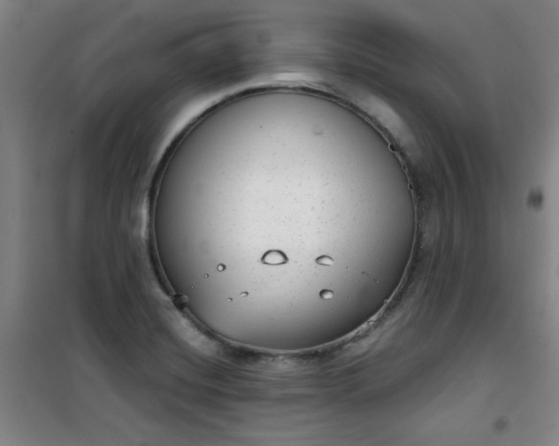 X0000101141420200807110932