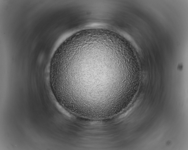 X0000101141421200807110932