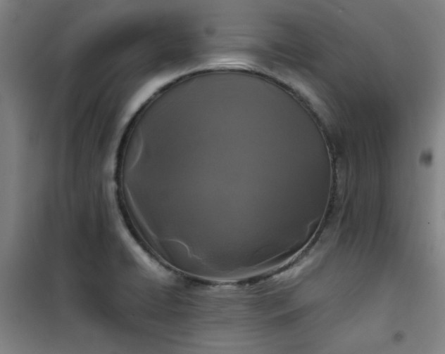 X0000101141422200807110932