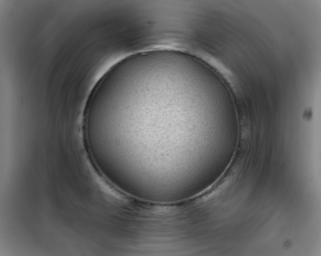 X0000101141423200807110932