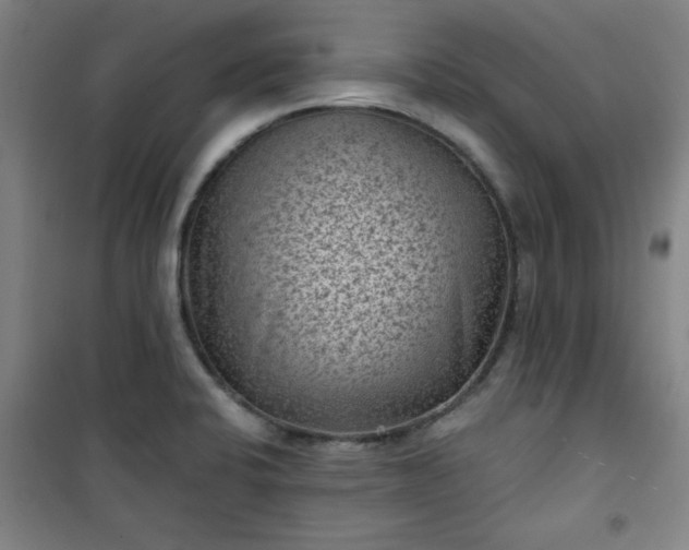 X0000101141424200807110932