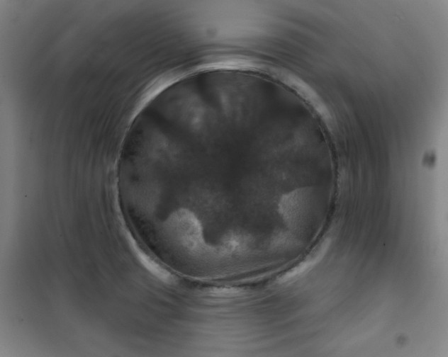 X0000101141425200807110932