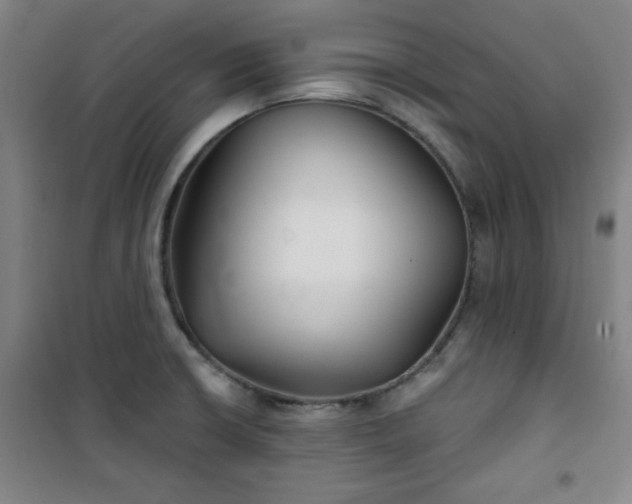 X0000101141426200807110932