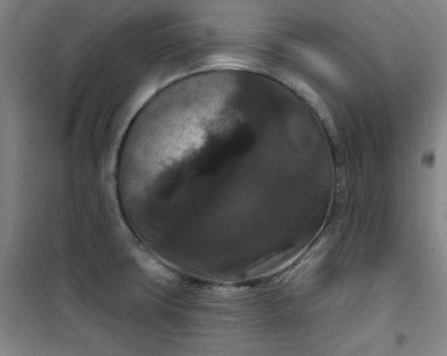 X0000101141427200807110932