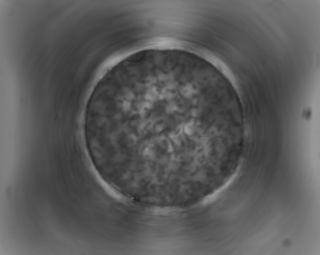 X0000101141429200807110932